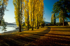 Lake side at Te Anau