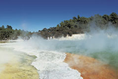 Geothermal Activity in Rotorua